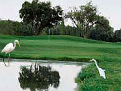 Hole 13